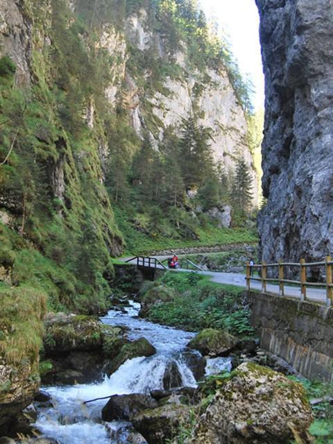 Appartamenti Chalet Al Lago Alleghe Eksteriør bilde